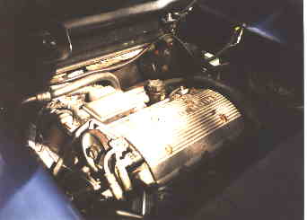 Quad-4.jpg