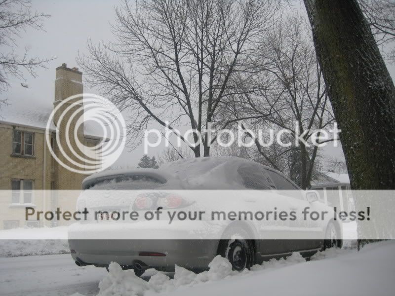 IMG_2981.jpg