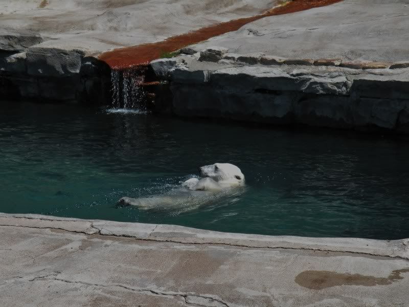 zooeditied058.jpg