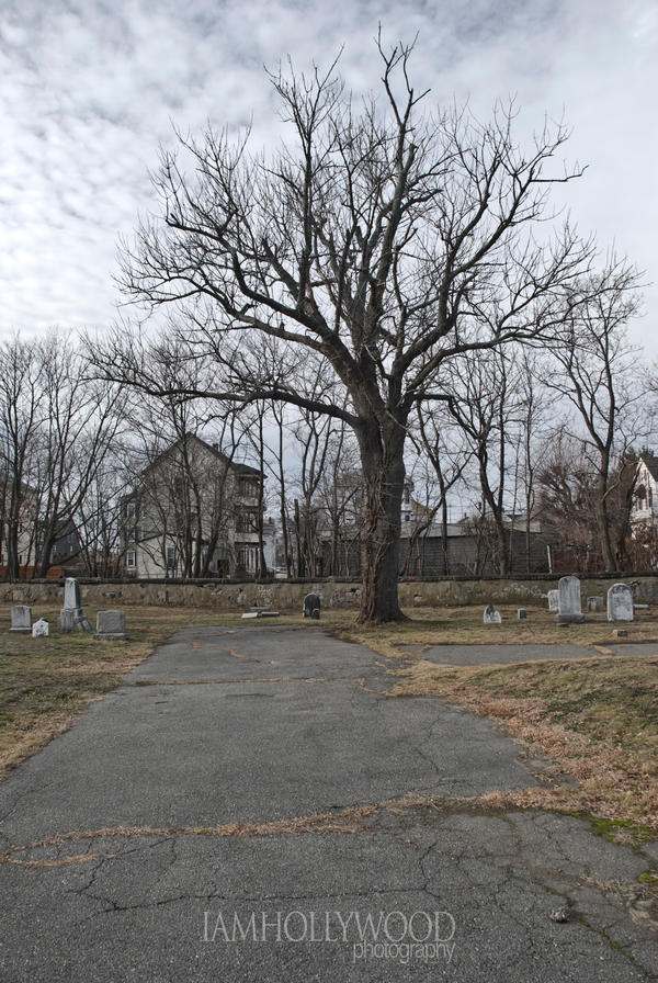 DeathTree_by_Johnny23xx.jpg
