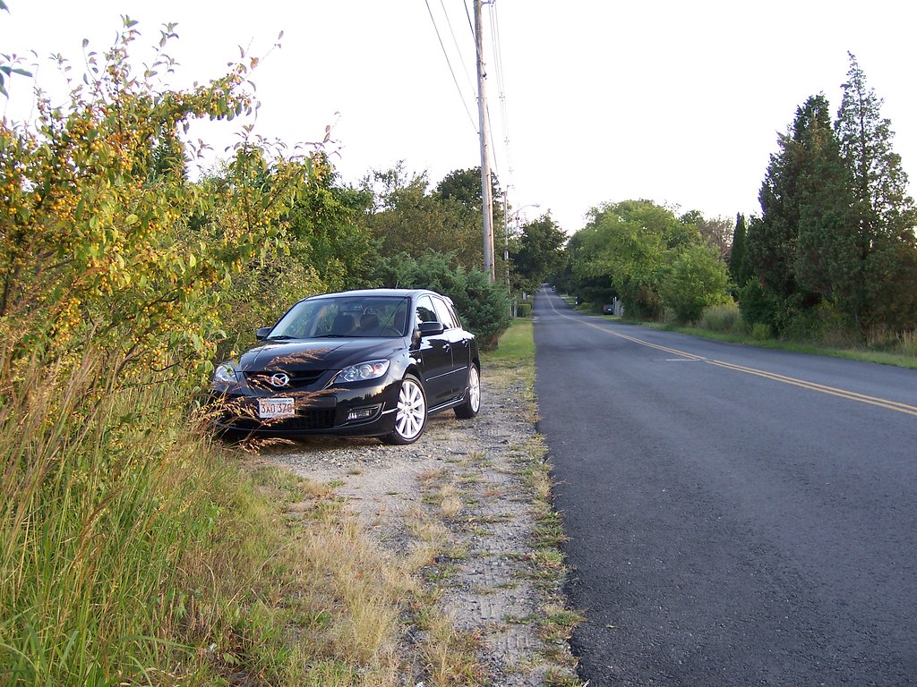 3998029562_0dd71eae5f_b.jpg