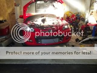 pics152.jpg