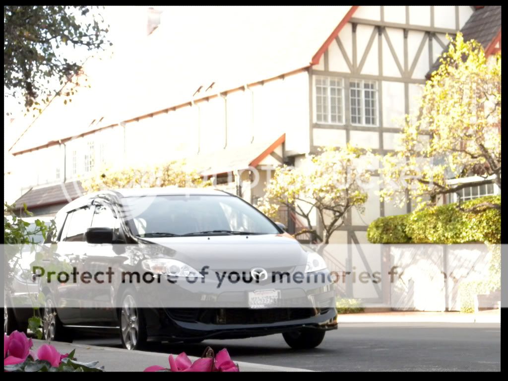 DSCN3334.jpg