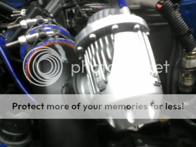 p_00012.jpg