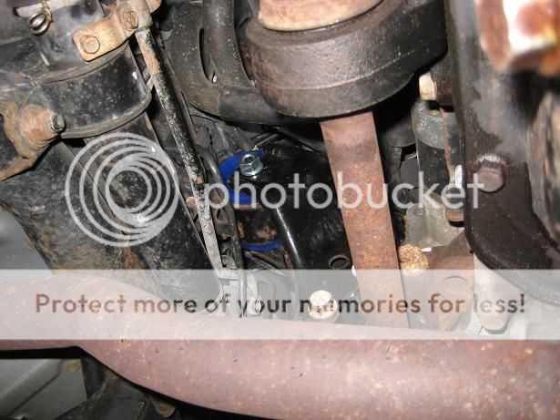 rear_insert_installed03-1.jpg