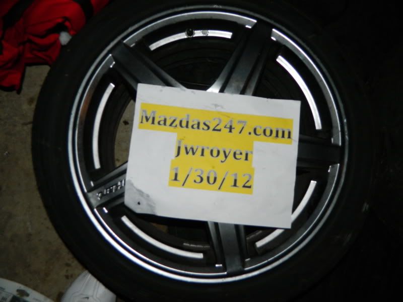 DSCN0379.jpg