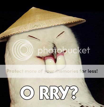 owlorry6oe.jpg