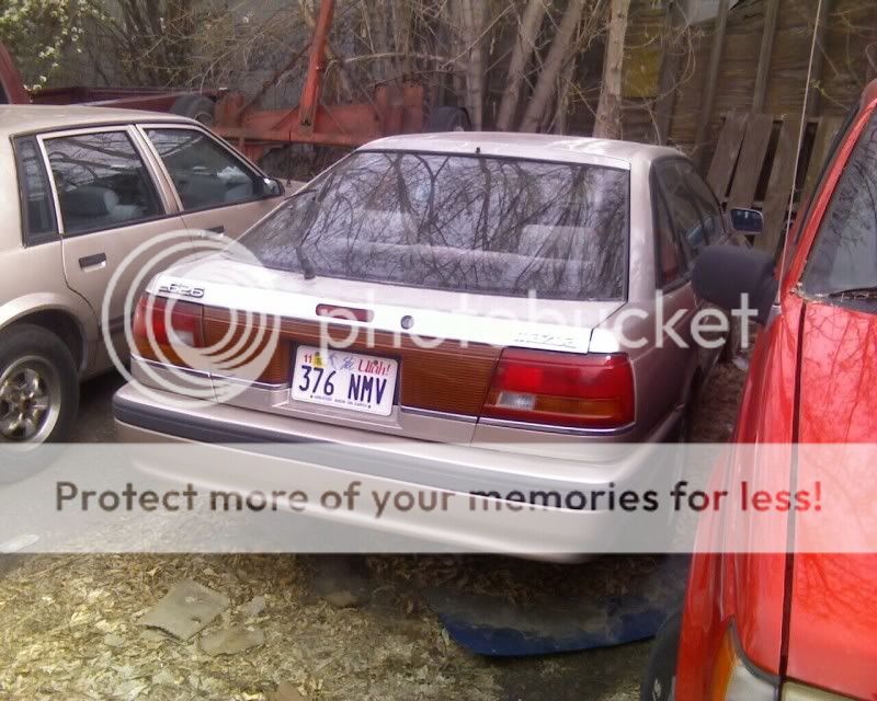 1271463264.jpg