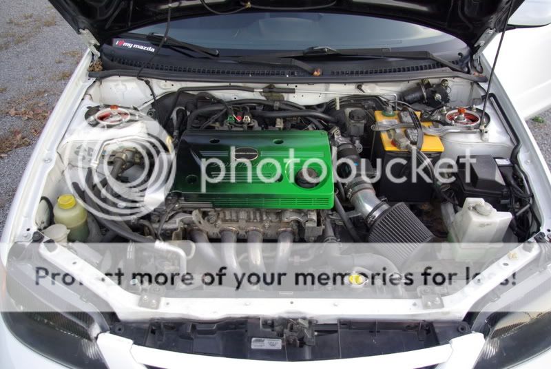 stancedout031.jpg