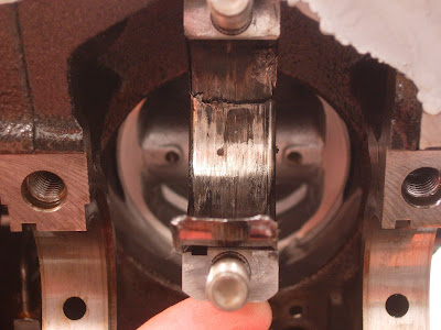 DSCN0499.JPG