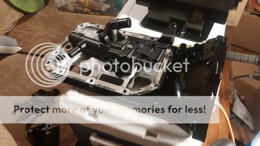 CAM00222_zps65d6e754.jpg