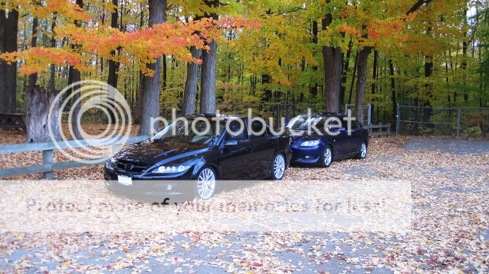 IMG_8674COPY.jpg