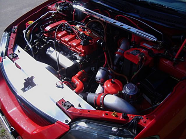 DSCF0516.jpg
