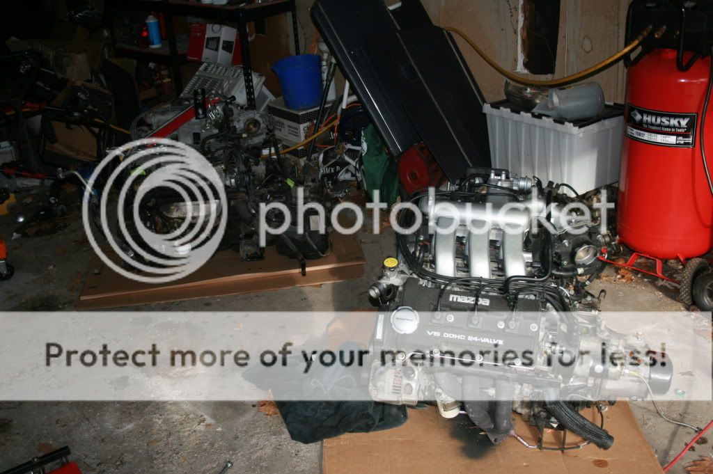 IMG_9848.jpg