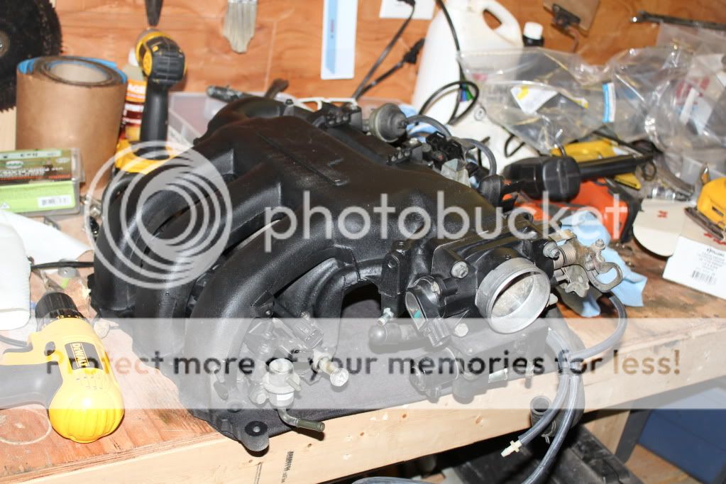 IMG_3665.jpg
