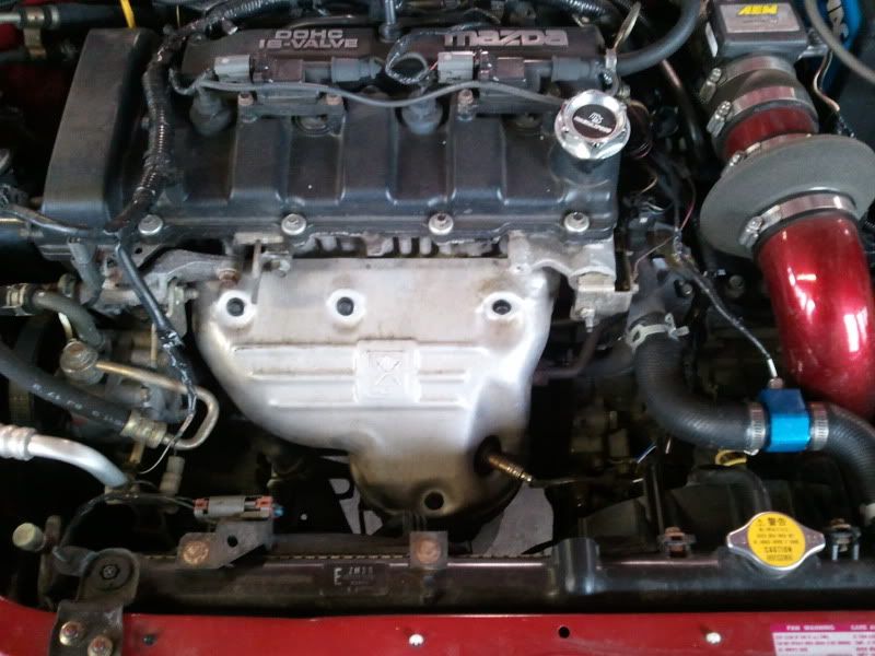 2012-01-02120618.jpg