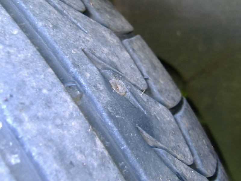 DSCF1670.jpg