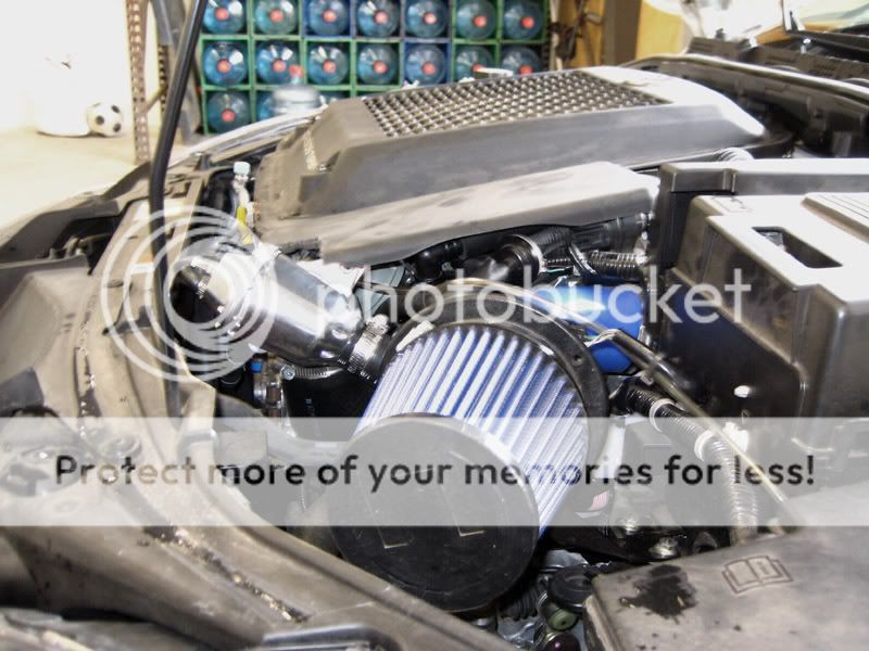 IMG_4729copy.jpg