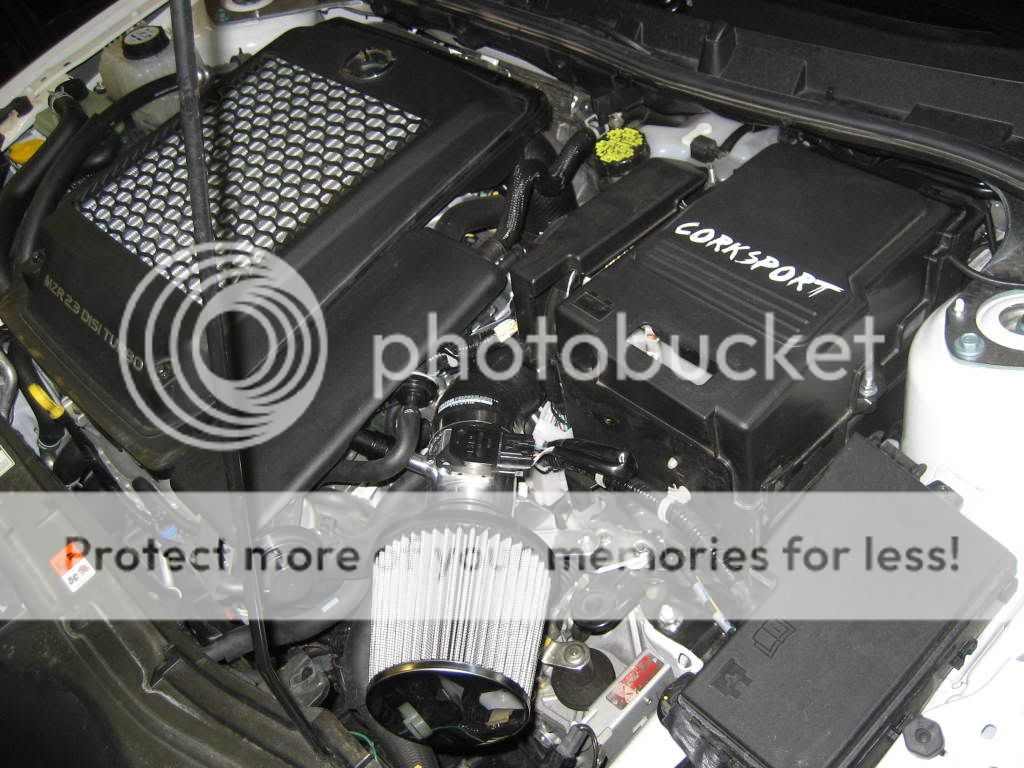 MOTOR001.jpg
