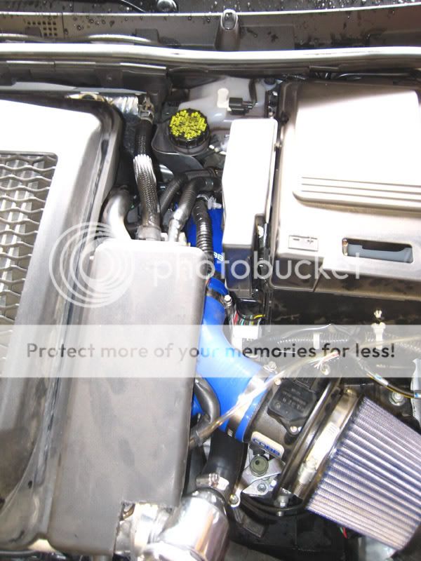 IMG_4737copy.jpg