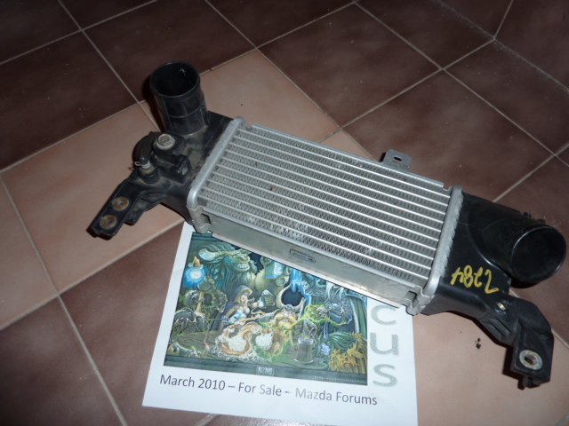 P1010208.JPG