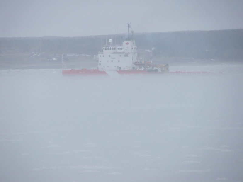 DSCF1286.jpg