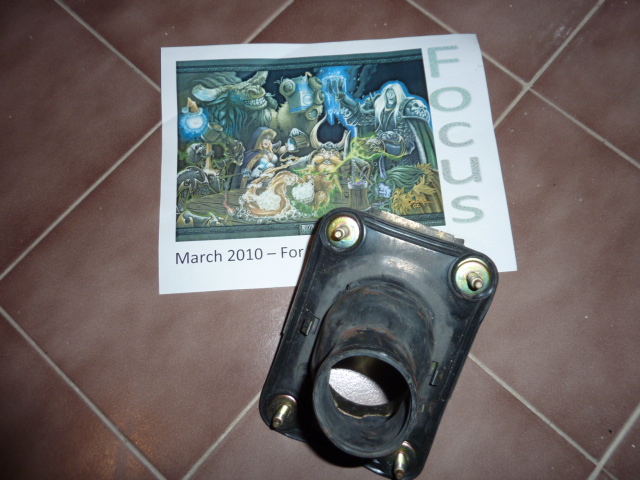 P1010204.JPG
