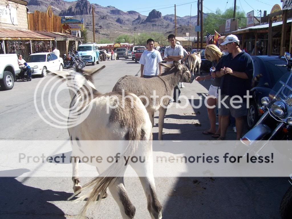 100_2685.jpg