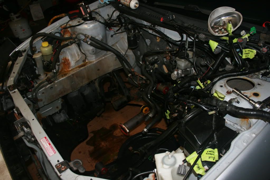 IMG_7672.jpg