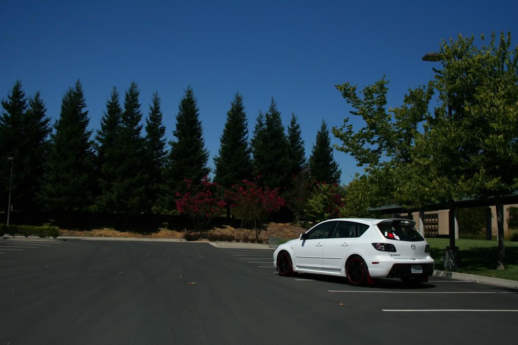 IMG_6696ps.jpg