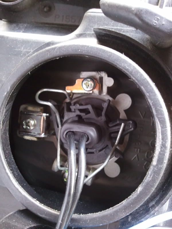 2011-06-11154926.jpg