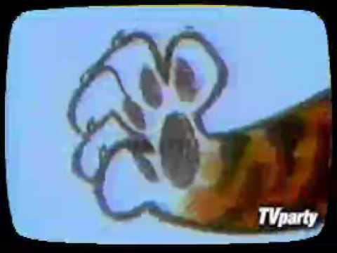 www.youtube.com