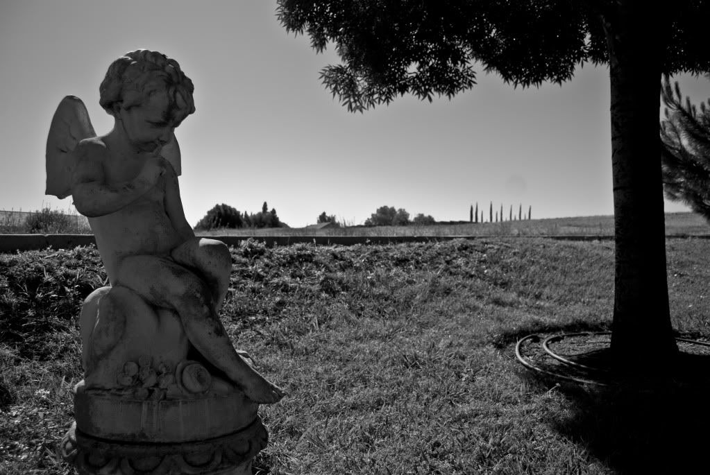 DSC_0029-2.jpg