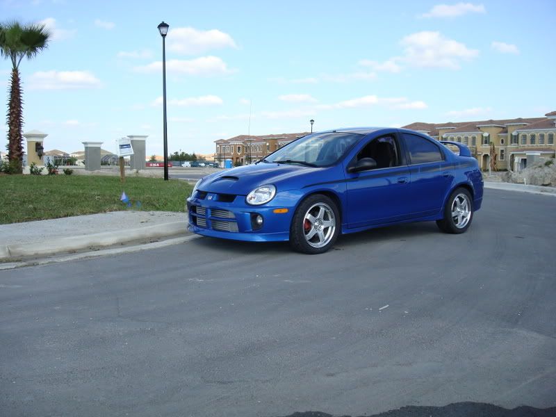 DSC00039.jpg