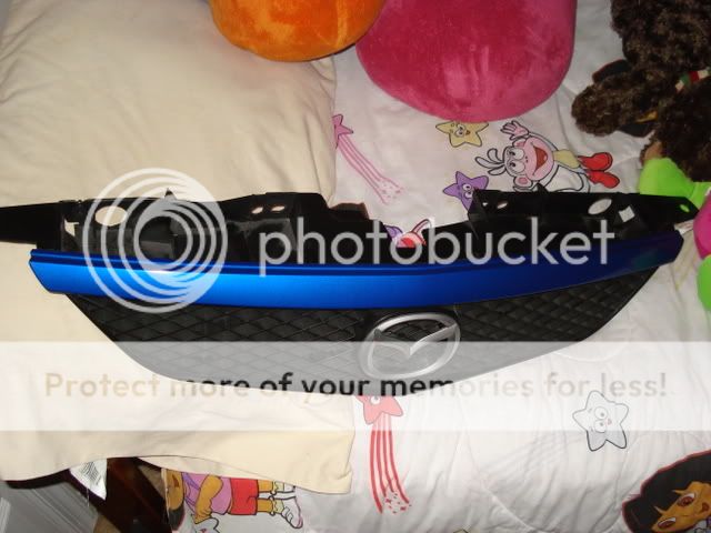 DSC03452.jpg