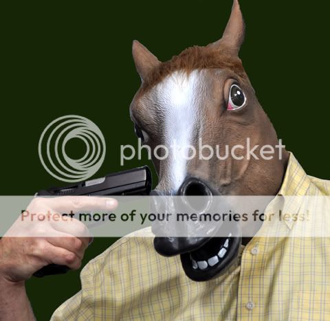 headshot-horse.jpg