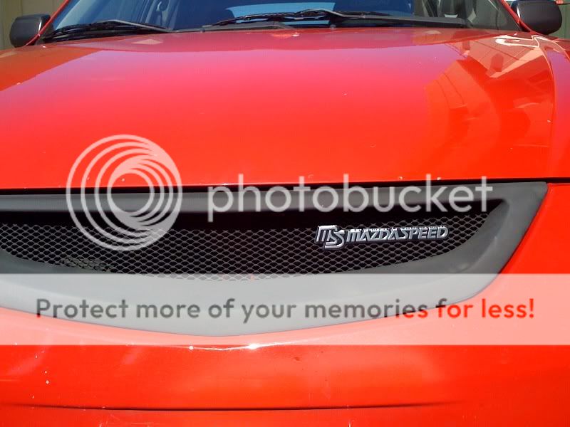 photo-12.jpg