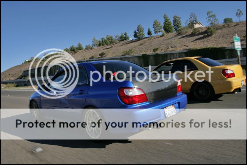 IMG_9041copy.jpg