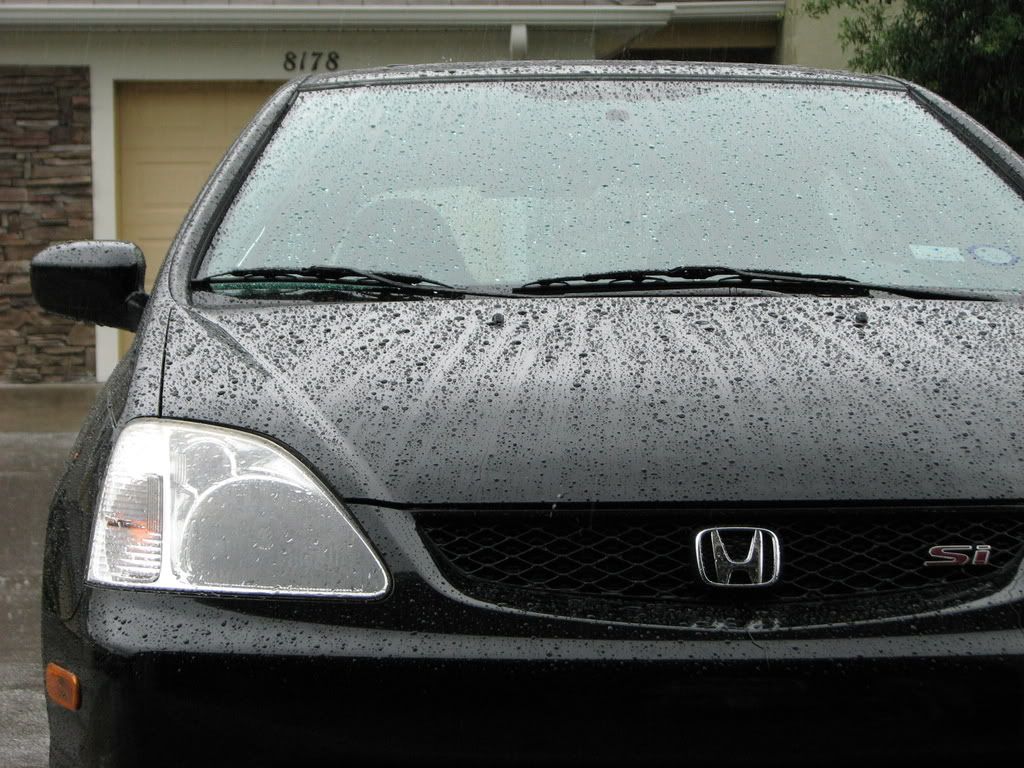 April6010.jpg