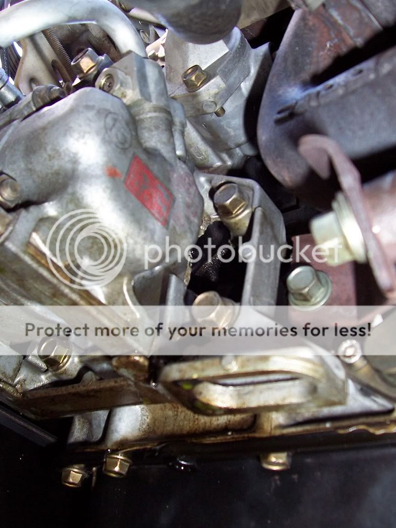 DigitalPhoto035.jpg