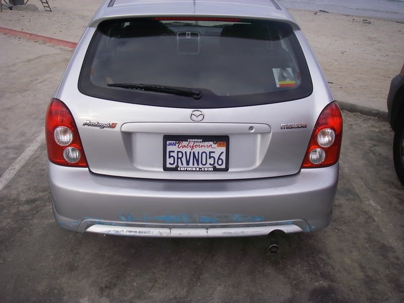 IMGP0703.jpg