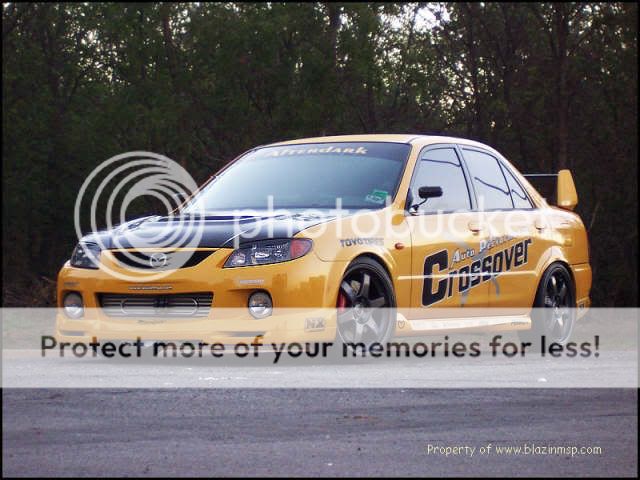 msp_4604.jpg