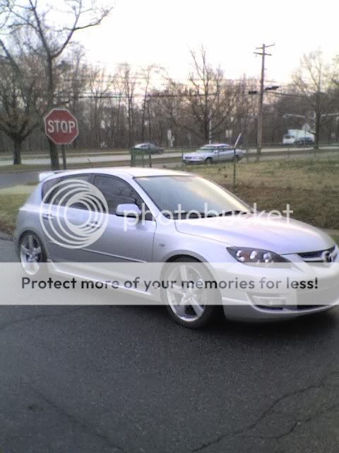 lower.jpg