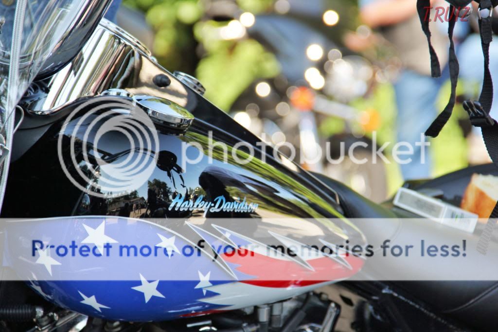IMG_9435.jpg
