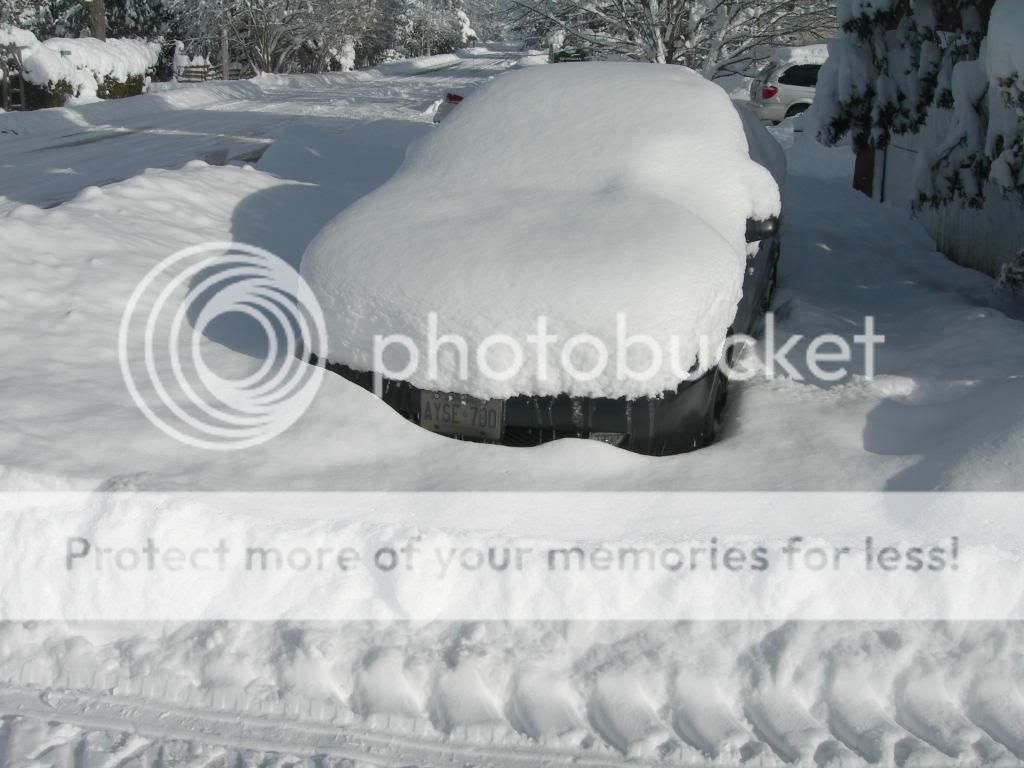 DSCN3431.jpg