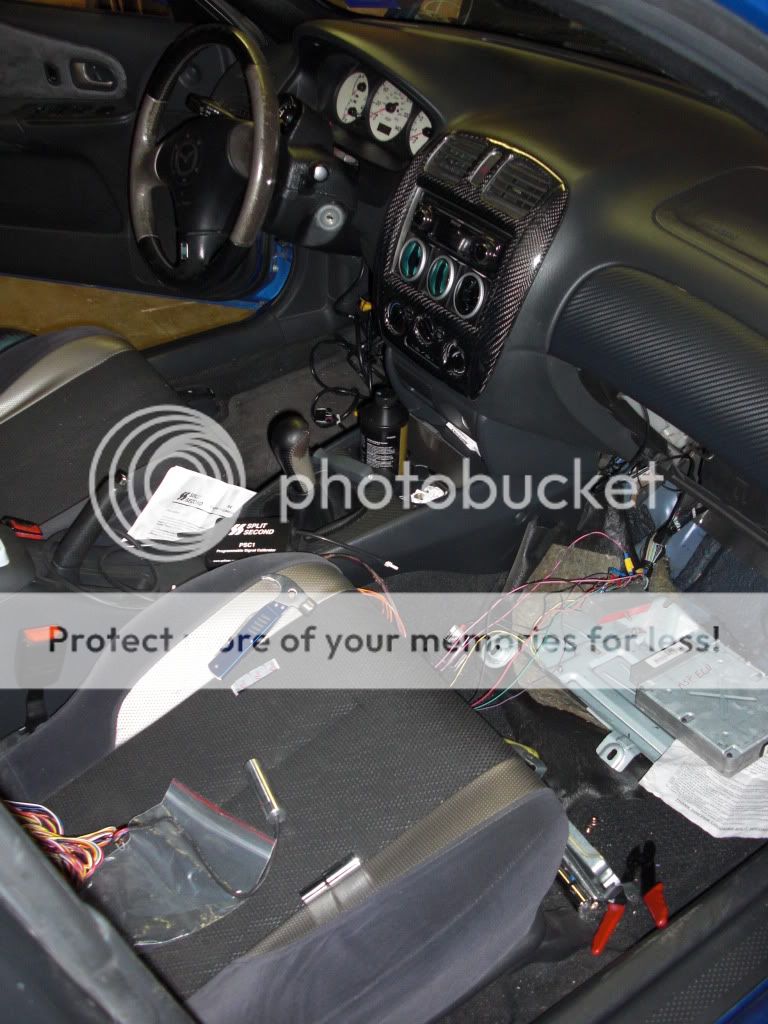CIMG0411.jpg