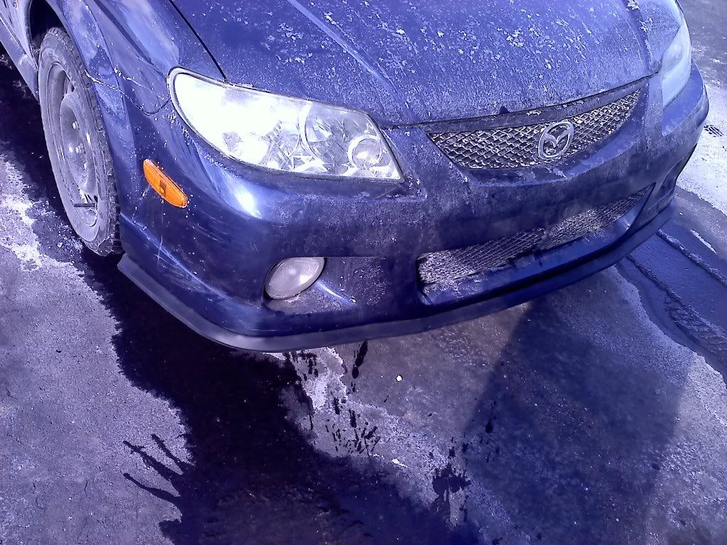20110208133713.jpg