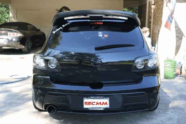 IMG_1763-1.gif