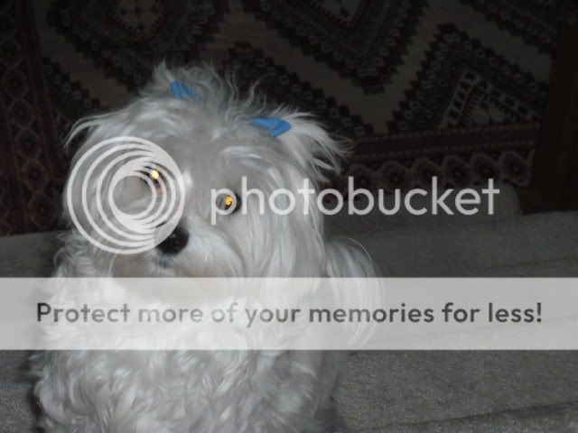DSCF5010.jpg