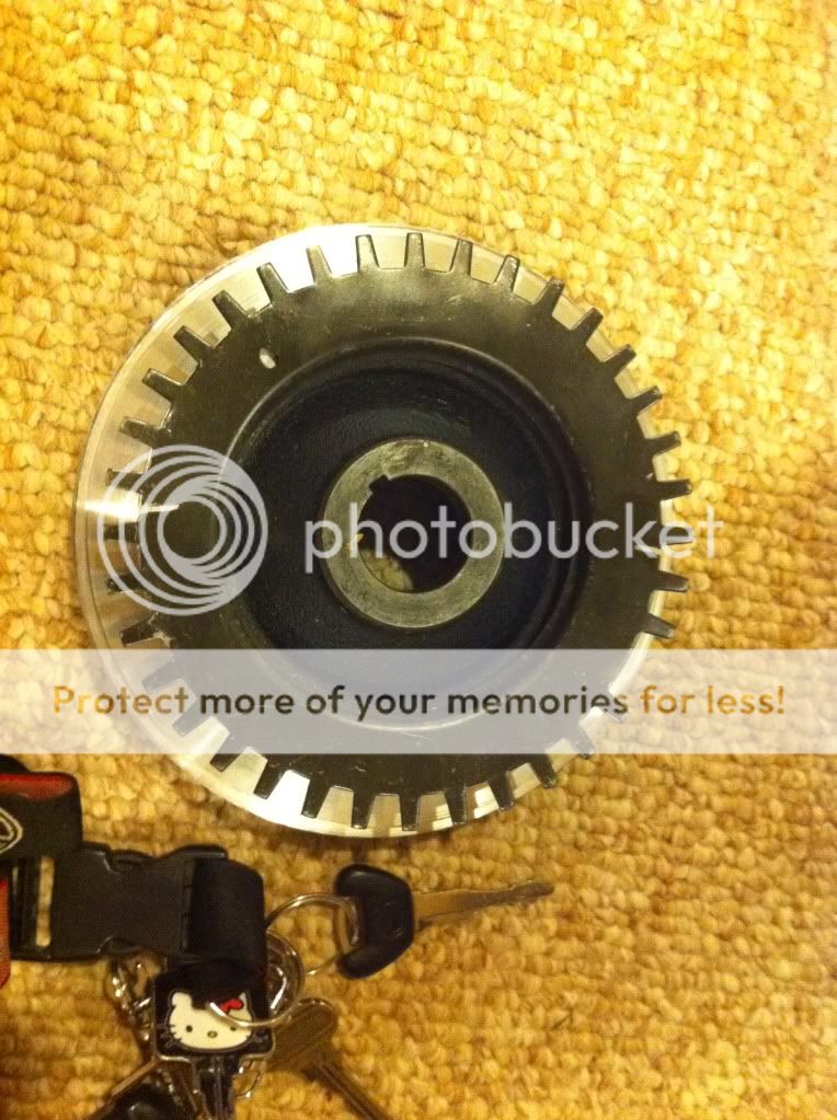 photo44.jpg